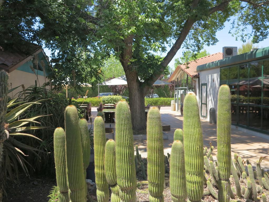 Camping La Pineda De Salou Hotel Buitenkant foto
